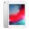 iPad mini (2019) WiFi 64GB 7.9inch Silver