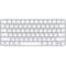 Apple Magic Keyboard with Touch ID for Mac models with Apple silicon – US English