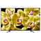 Sony 55X8000G 4K Ultra HDR Android LED Television 55inch (2019 Model)
