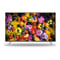 Panasonic TH43FX430M 4K UHD Smart LED Television 43inch (2018 Model)