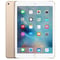 iPad Air 2 (2014) WiFi+Cellular 128GB 9.7inch Gold