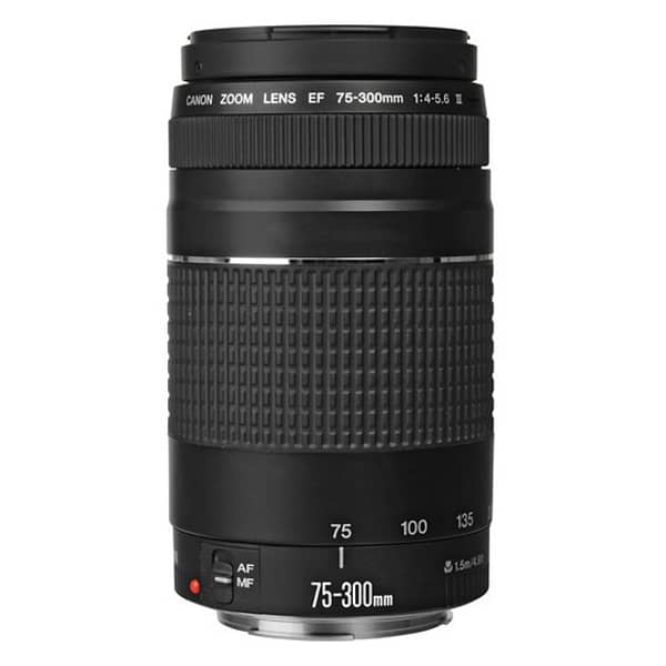 Buy Canon EF 75-300mm F/4.0-5.6 III Lens Online in UAE | Sharaf DG