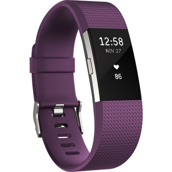Fitbit Charge 2 Wristband Laryon Plum Silver Small - FB407SPMSEU