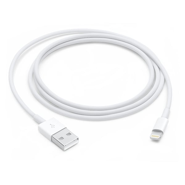 Apple MK0X2ZM/A Lightning to USB C Cable (1m) Lightning Cable