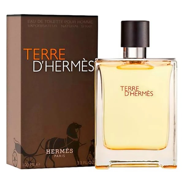 Hermes Terre De Hermes Perfume For Men 200ml Eau de Toilette