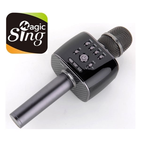 Magic Sing MP30 Mobile Karaoke Microphone