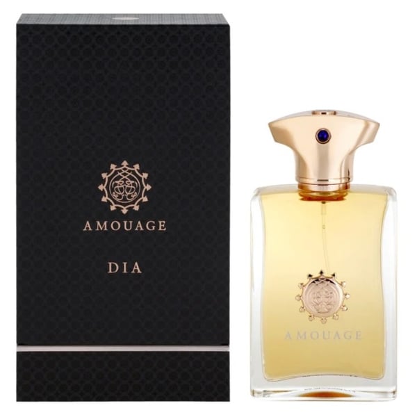 Buy Amouage Dia For Men 100ml Eau de Parfum Online in UAE Sharaf DG