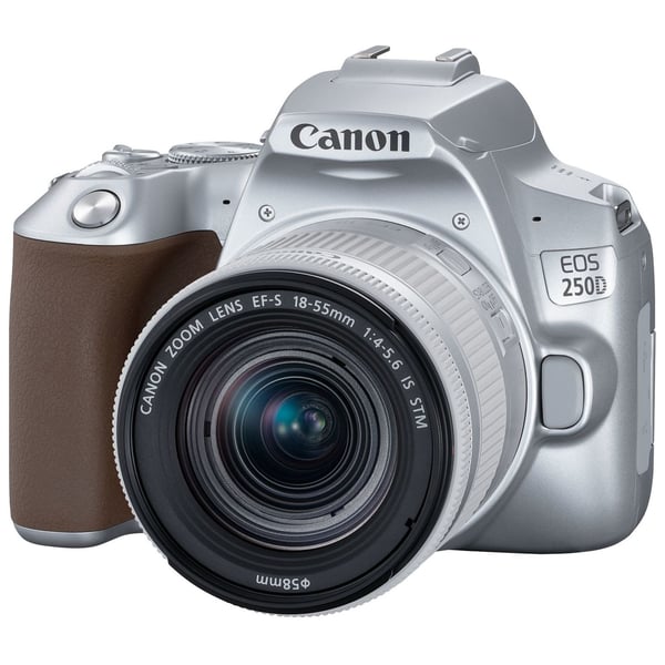 Canon EOS 250D DSLR Camera With EF-S 18-55mm f/4-5.6 IS STM Lens