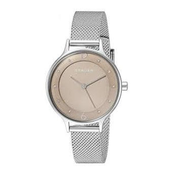 Skagen skw2649 on sale