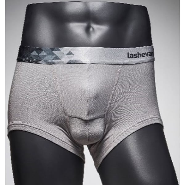 Buy Lashevan All Mesh Underwear Dia Grey 105 XL Online in UAE