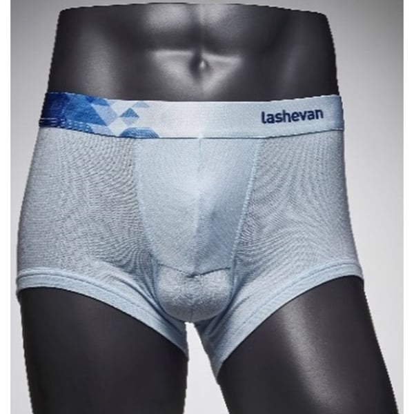 Buy Lashevan All Mesh Underwear Dia Sky 110 2XL Online in UAE