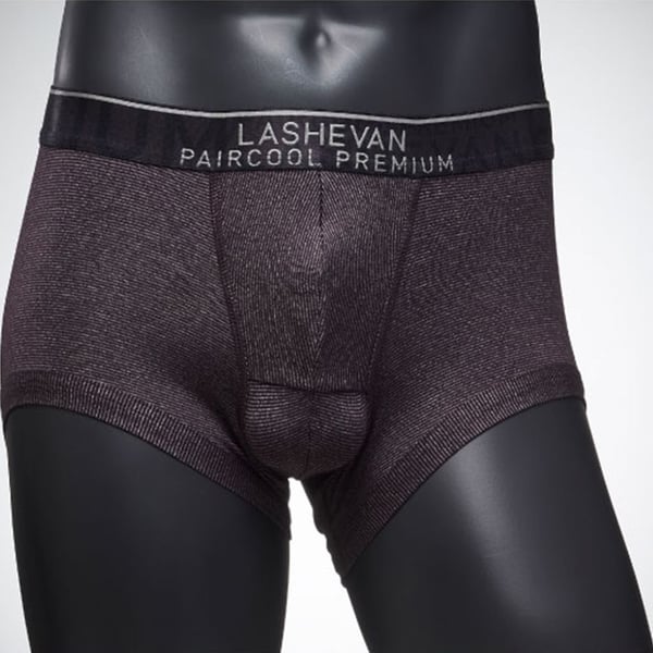 Buy Lashevan Pair Cool Underwear Wood Brown 100 L Online in UAE