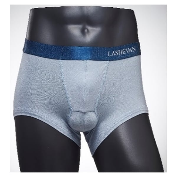 Buy Lashevan Underwear Signature Mono Sky 100 L Online in UAE