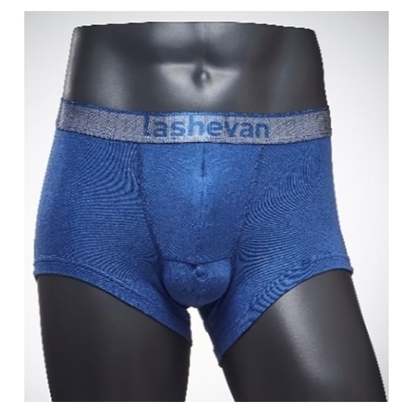 Buy Lashevan Underwear Signature Retro Blue 100 L Online in UAE