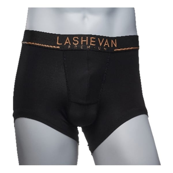 Buy Lashevan Underwear Modal 100 s Premium Gold 100 L Online in