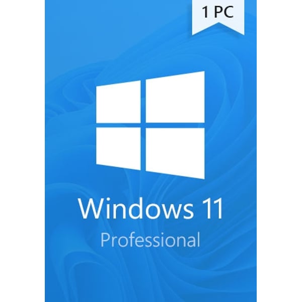 Microsoft Windows 11 Professional