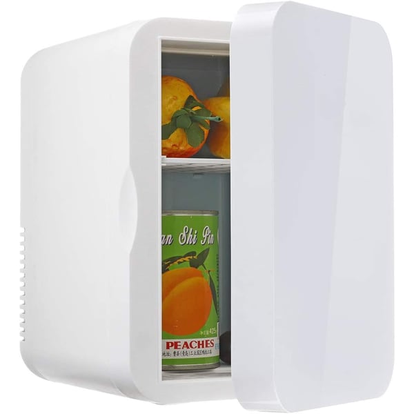 Portable mini hot sale fridge