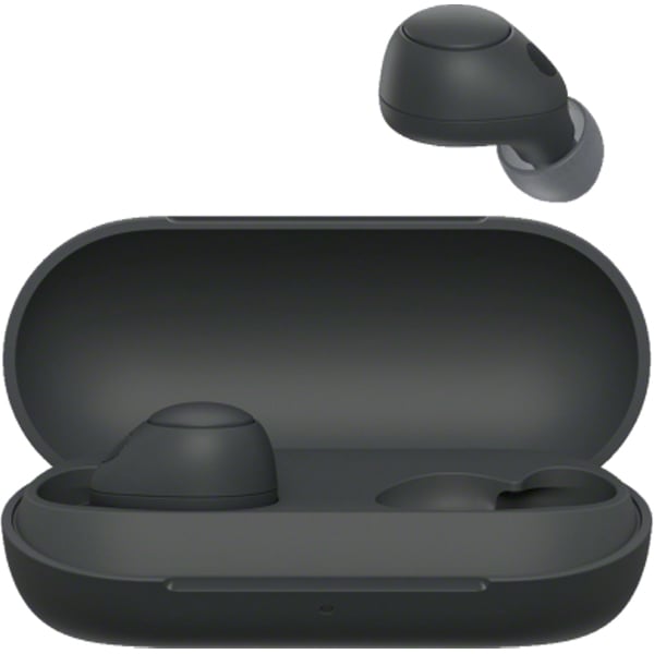 Buy Sony WFC700N B True Wireless Earbuds Black Online in UAE