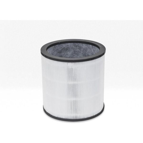 Dyson 360° Glass HEPA Filter