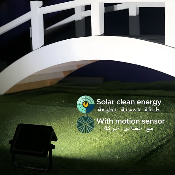 صورة 6