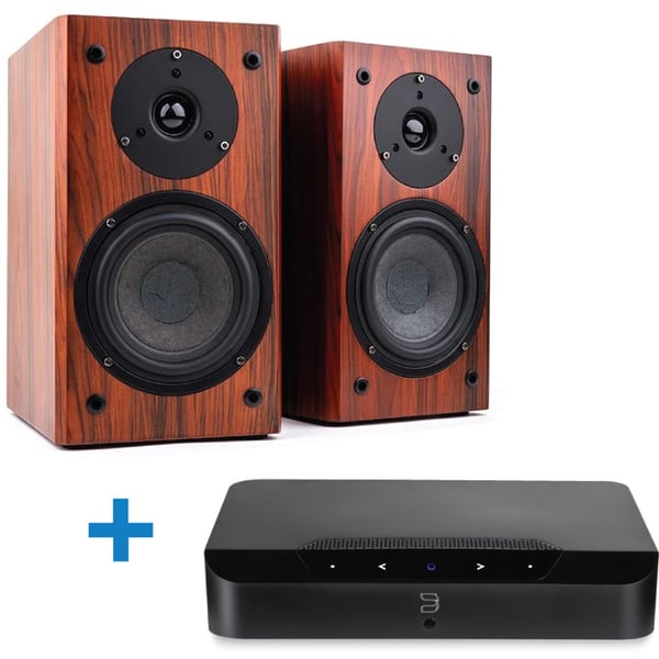 فيرافيا أوديو Verafiaudio Verafi Audio Vanguard Scout + Blusound Powernode Edge Bundle