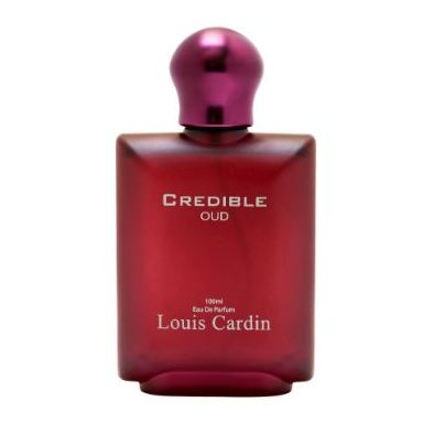 Louis Cardin Credible Musk EDP – Louis Cardin